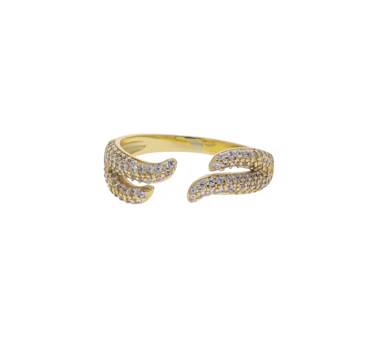 Nina Ring